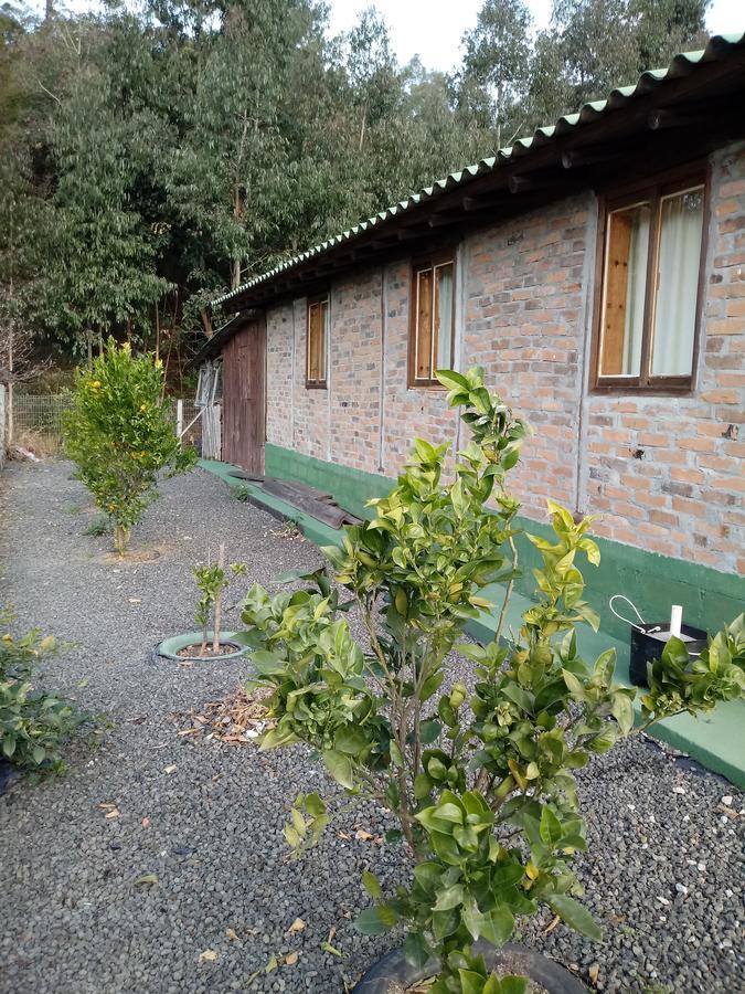 Casa Aconchegante Em Urubici Villa Bagian luar foto